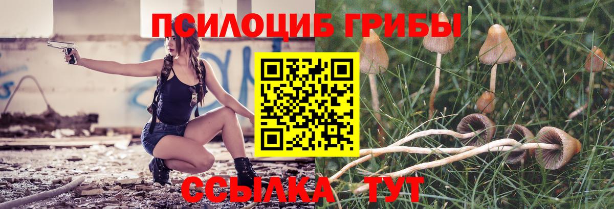 Псилоцибиновые грибы Psilocybine cubensis  Псилоцибиновые грибы GOLDEN TEACHER  Коммунар  Вход с VPN 